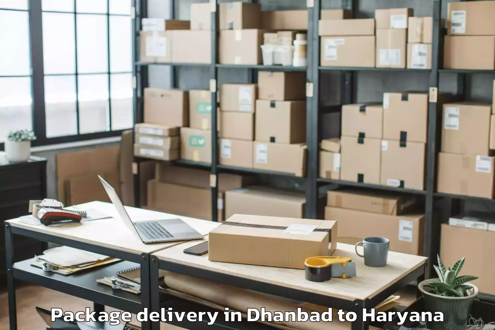 Easy Dhanbad to Mahendragarh Package Delivery Booking